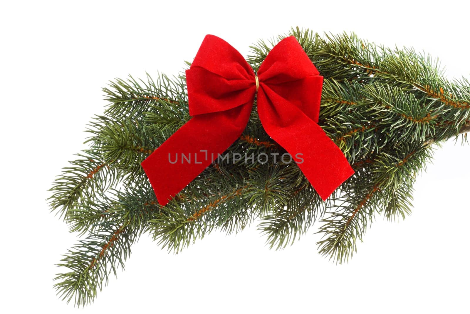 Red gift ribbon on fir tree branch on a white background. Close up. Christmas decoration.