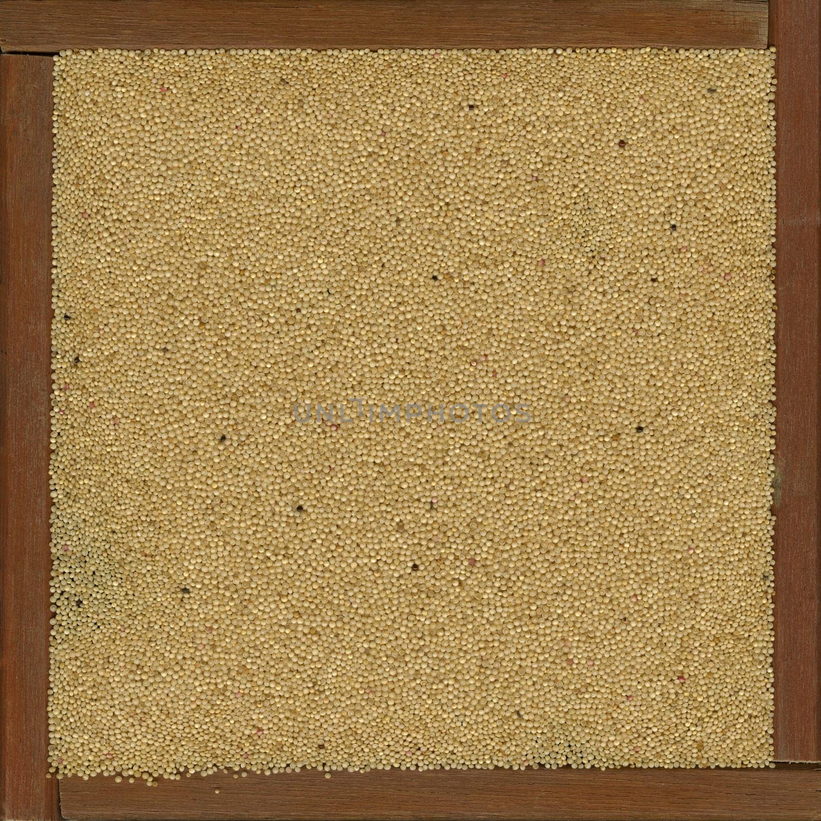 amaranth grain in a rustic wooden box or frame