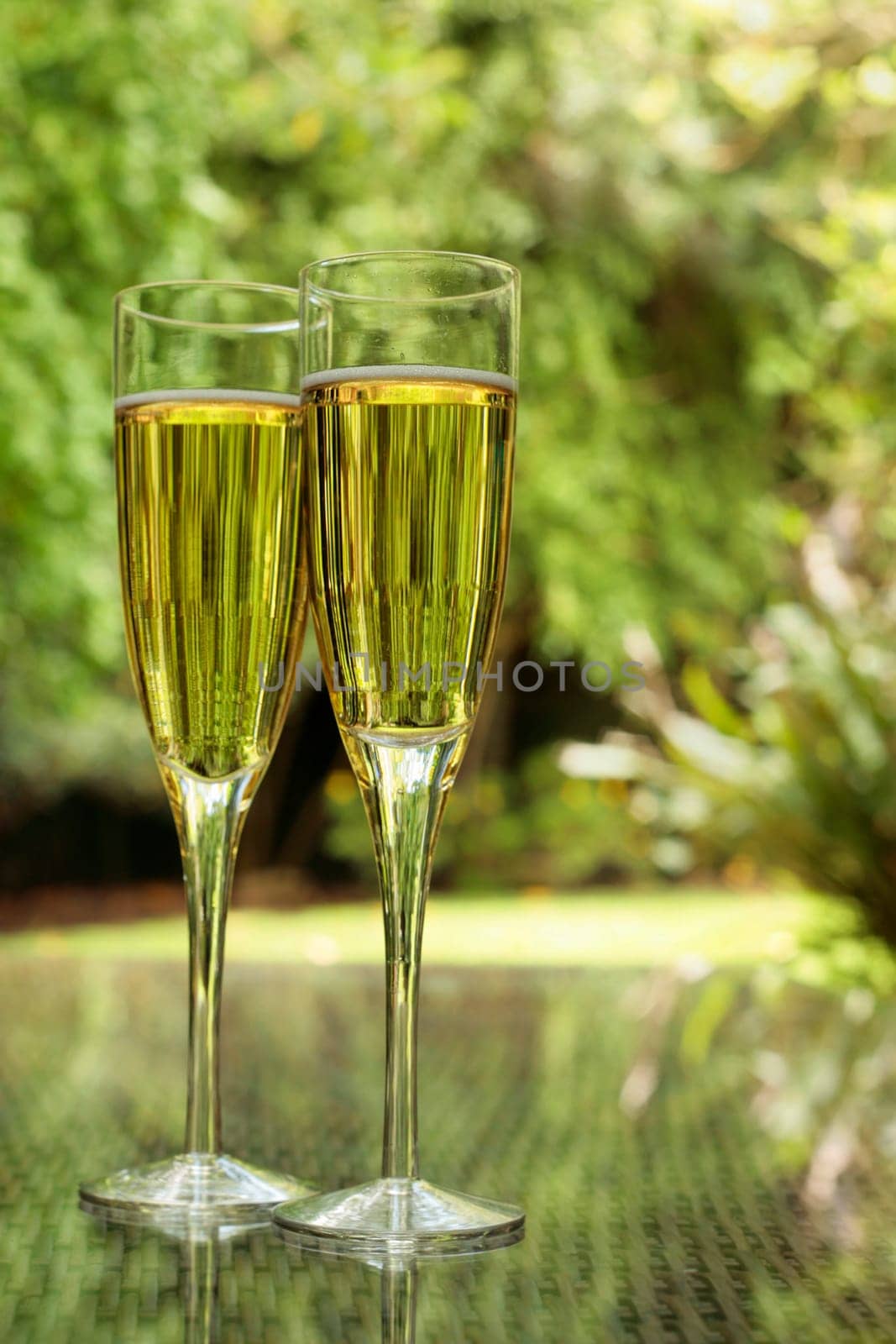 Two champagne glasses bathed in green light on a summer terrace