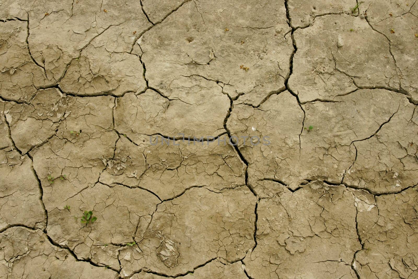 Detail of field  baked earth after a long drought.