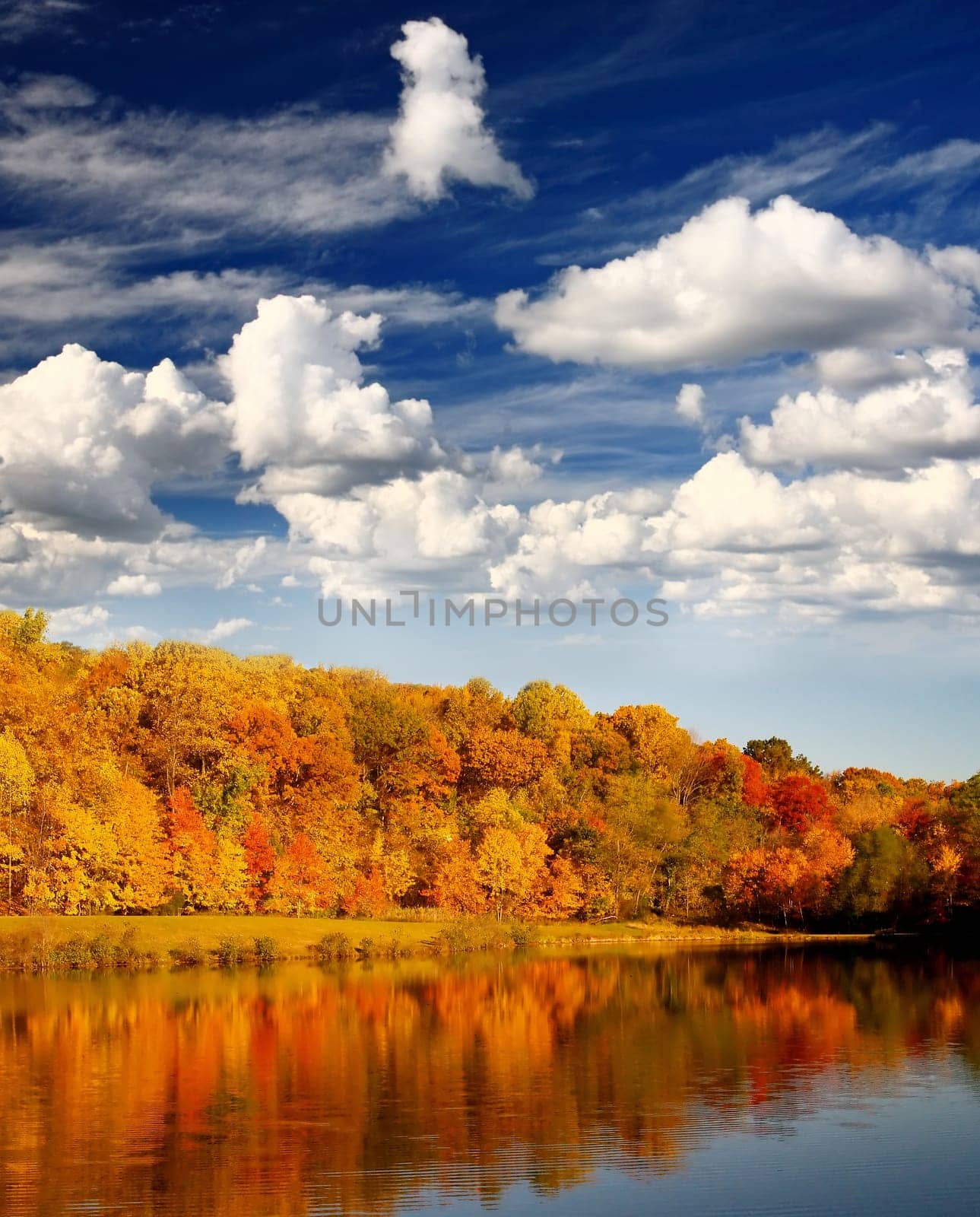 The foliage scenery in a park in New Jersey