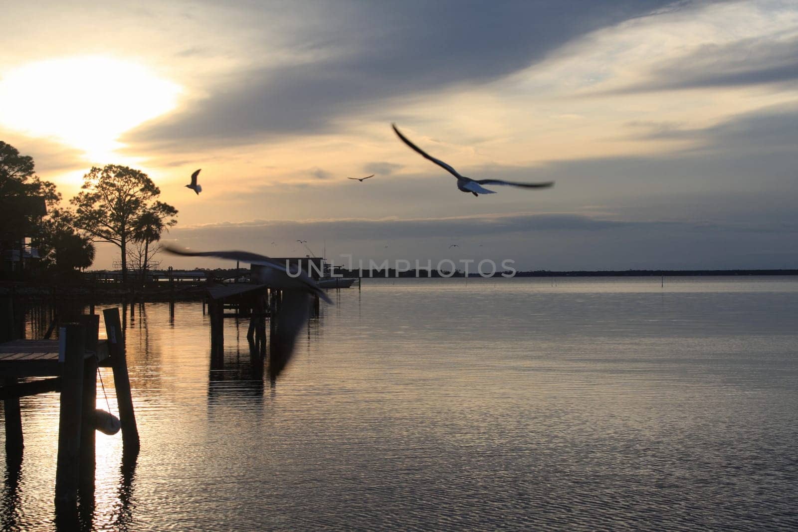 A Tranquil Sunset on Peridido Bay