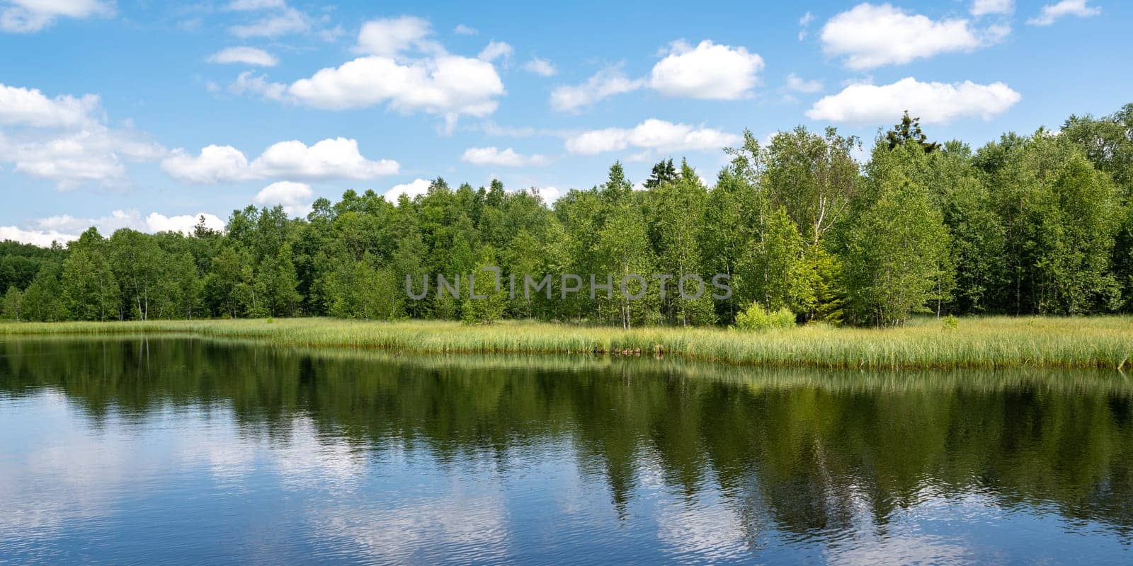 Reservoir at the red moor in the high Rhoen, Hesse, Germany. With blue sky and white clouds and reflection in the water