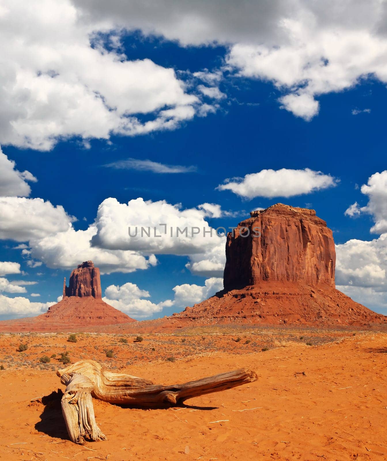 Monument Valley Navajo Tribal Park in Utah  USA