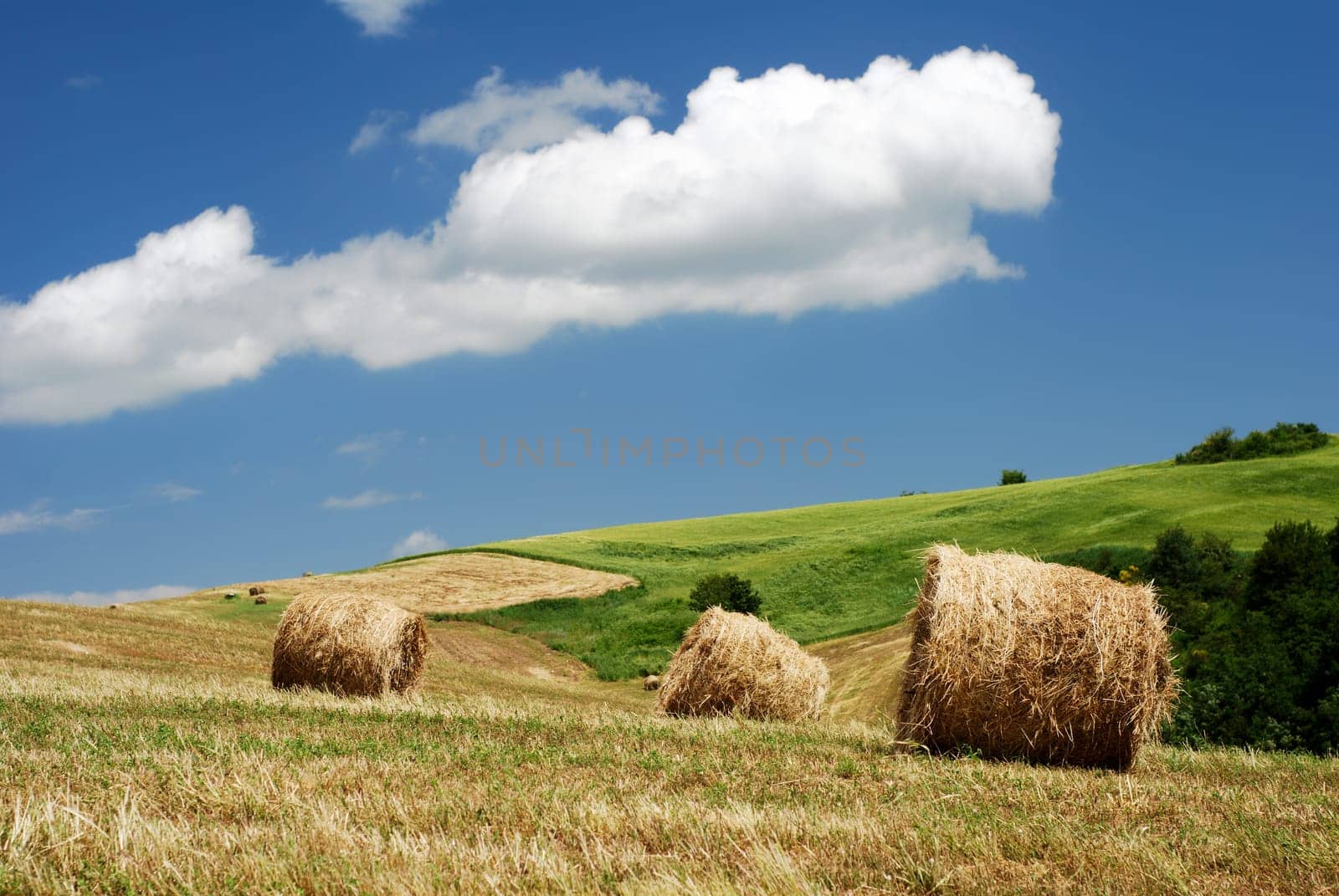 Hay bales over the hillside under blue sky