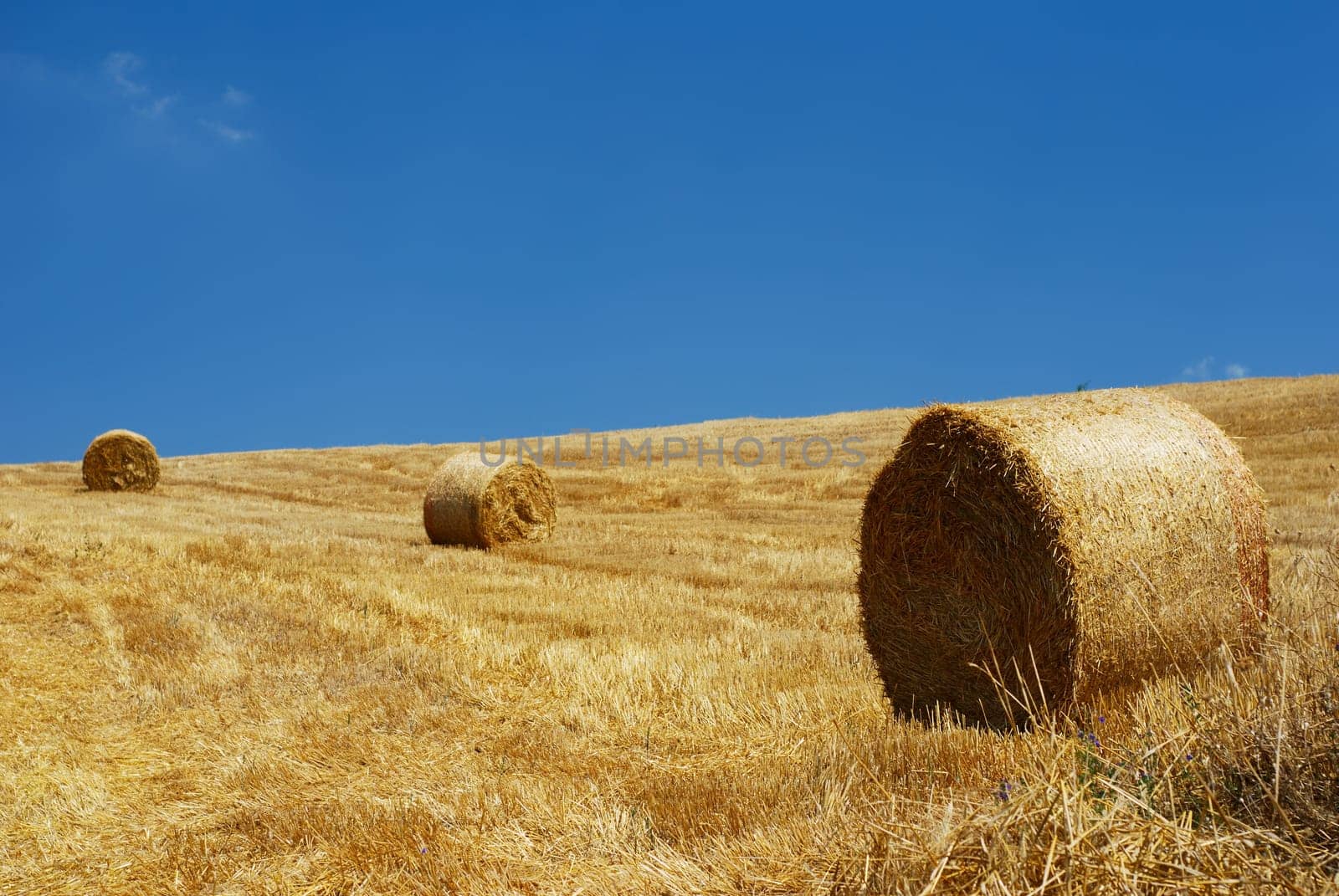Straw bales in a line under clear blue sky