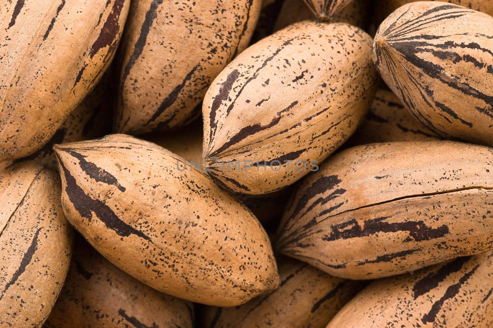 Background of pecan nuts, close up shot.