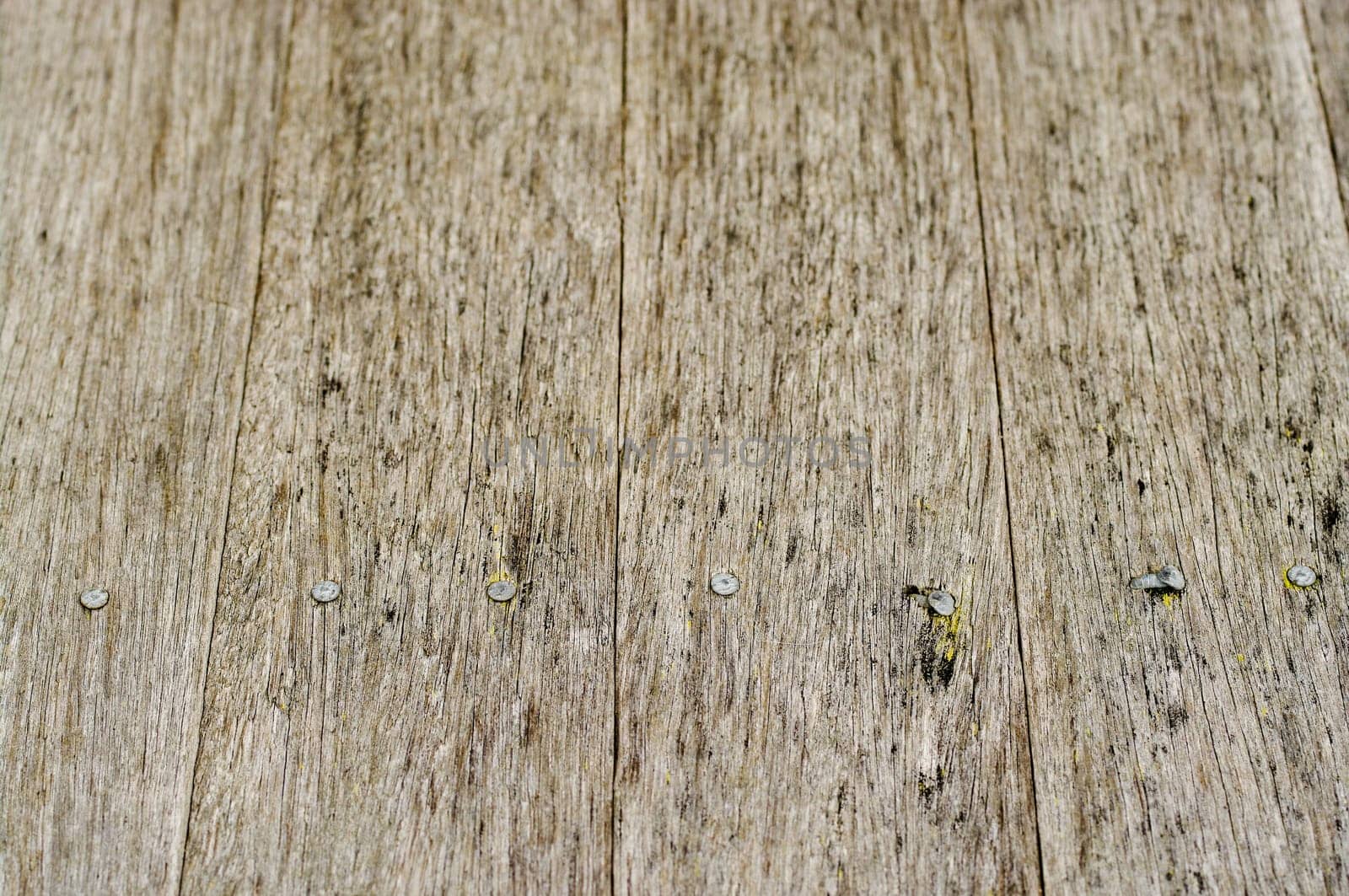 great background texture of old grungy wood