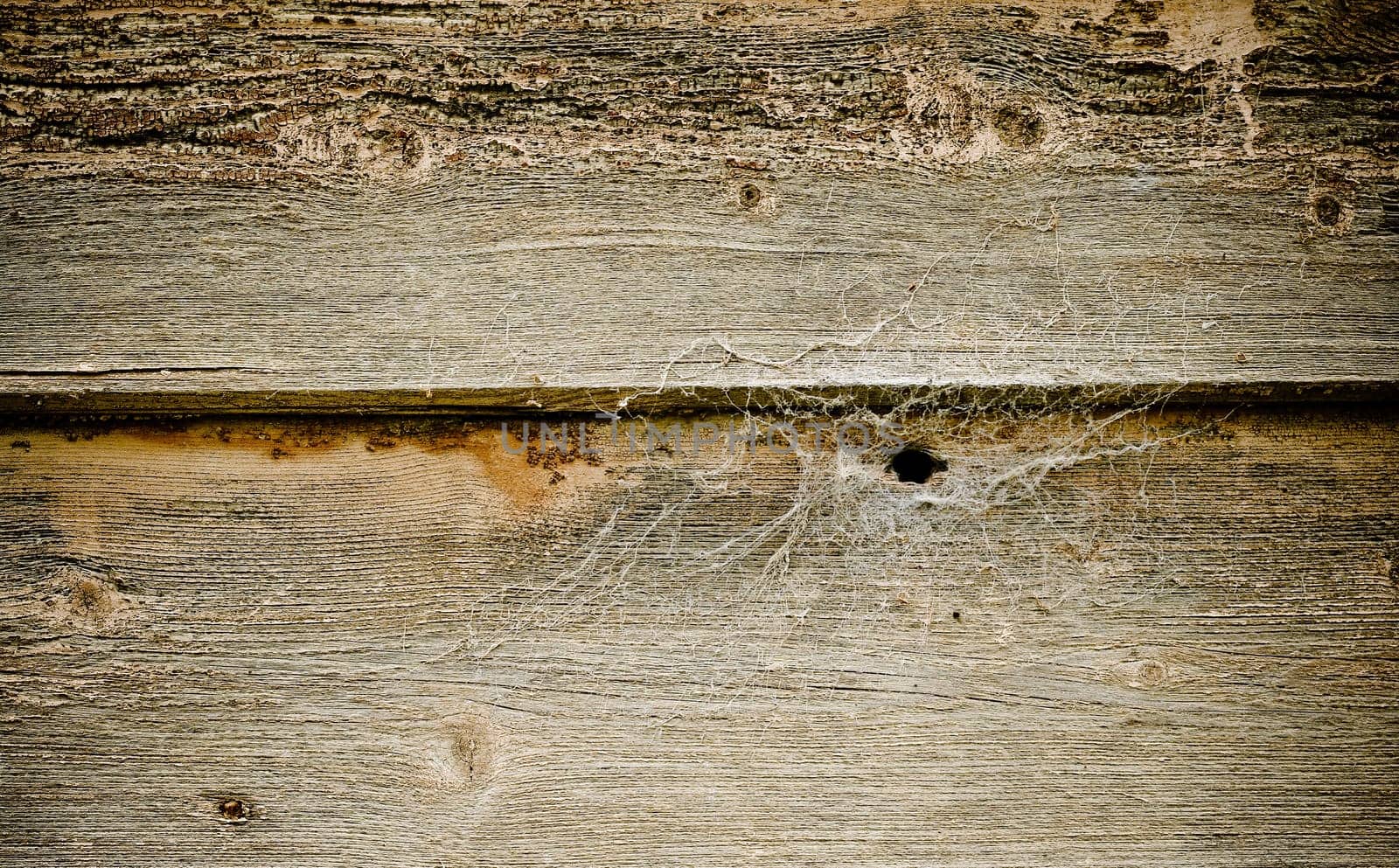 great background texture of old grungy wood