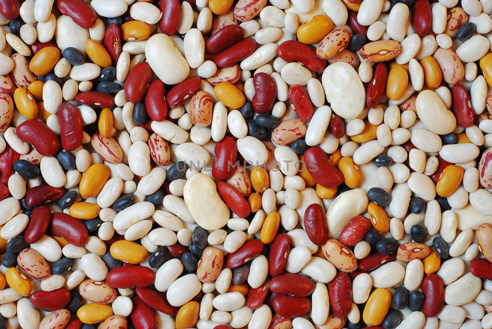 Mixture of six different type of colorful beans