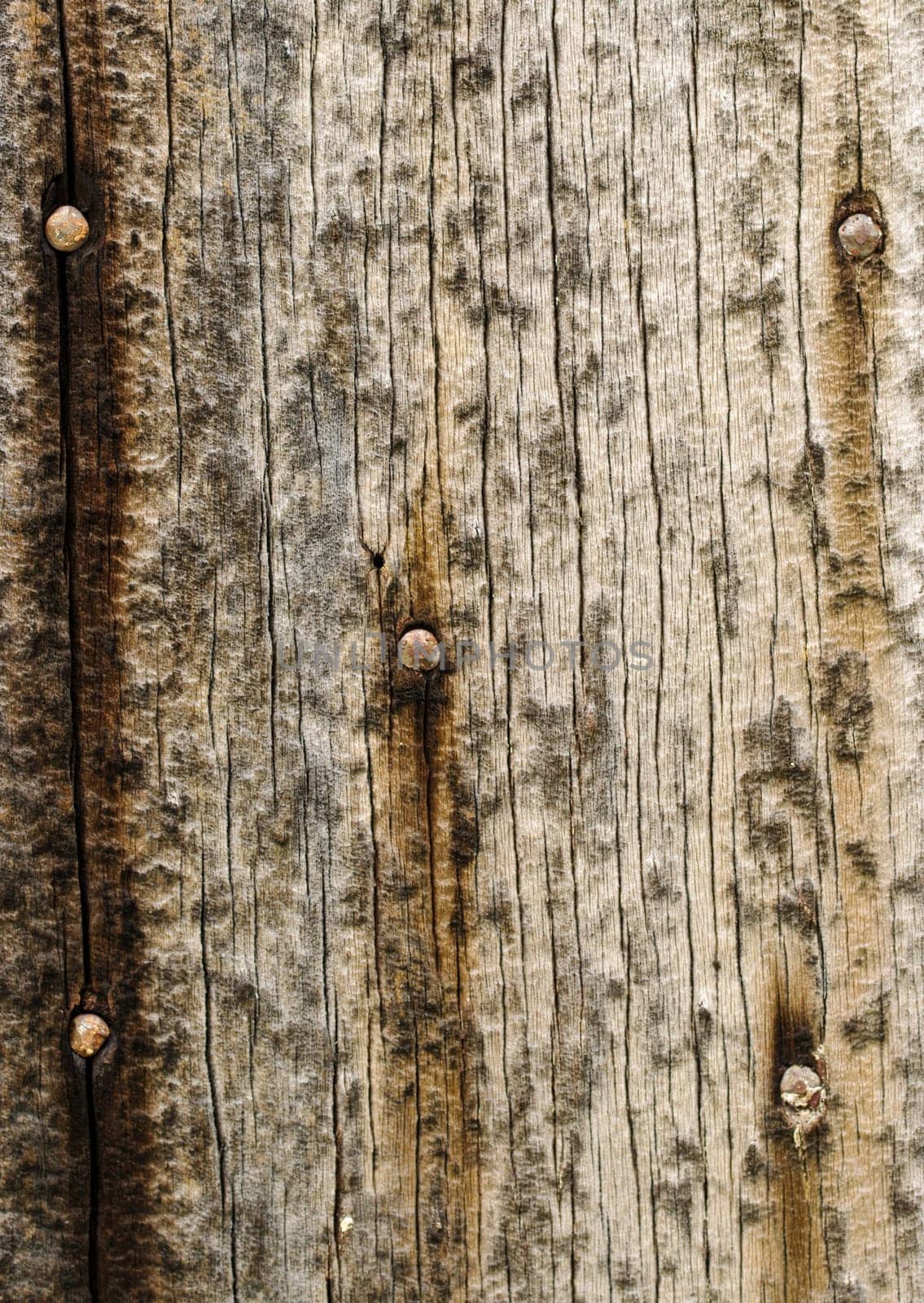 great background texture of old grungy wood