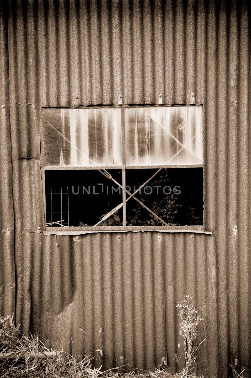 old rusty tin shed and window