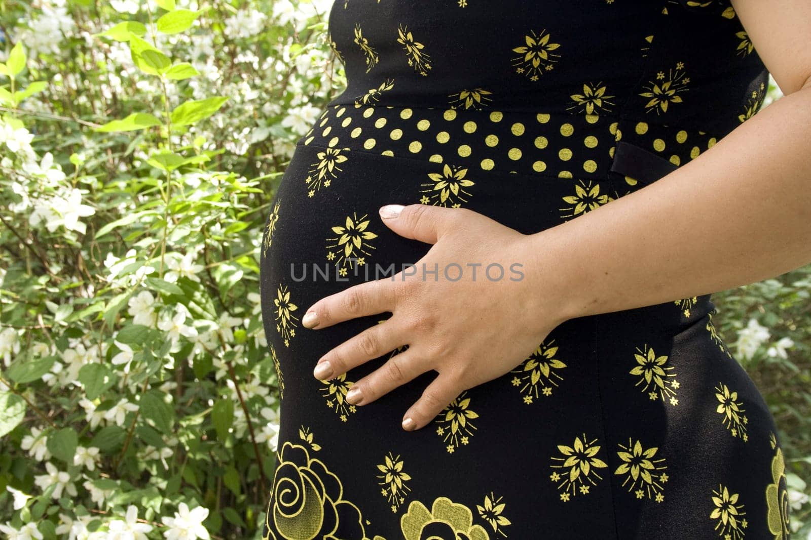 pregnancy