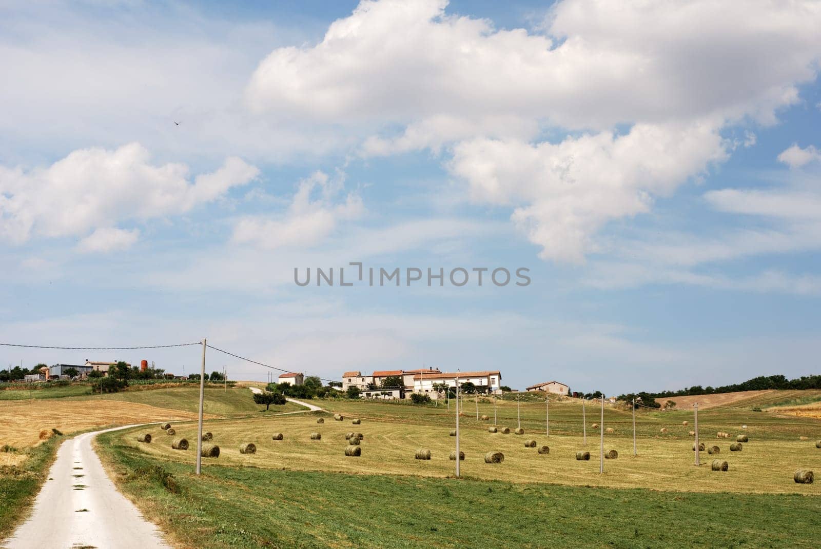 Country road up to little houses in summertime