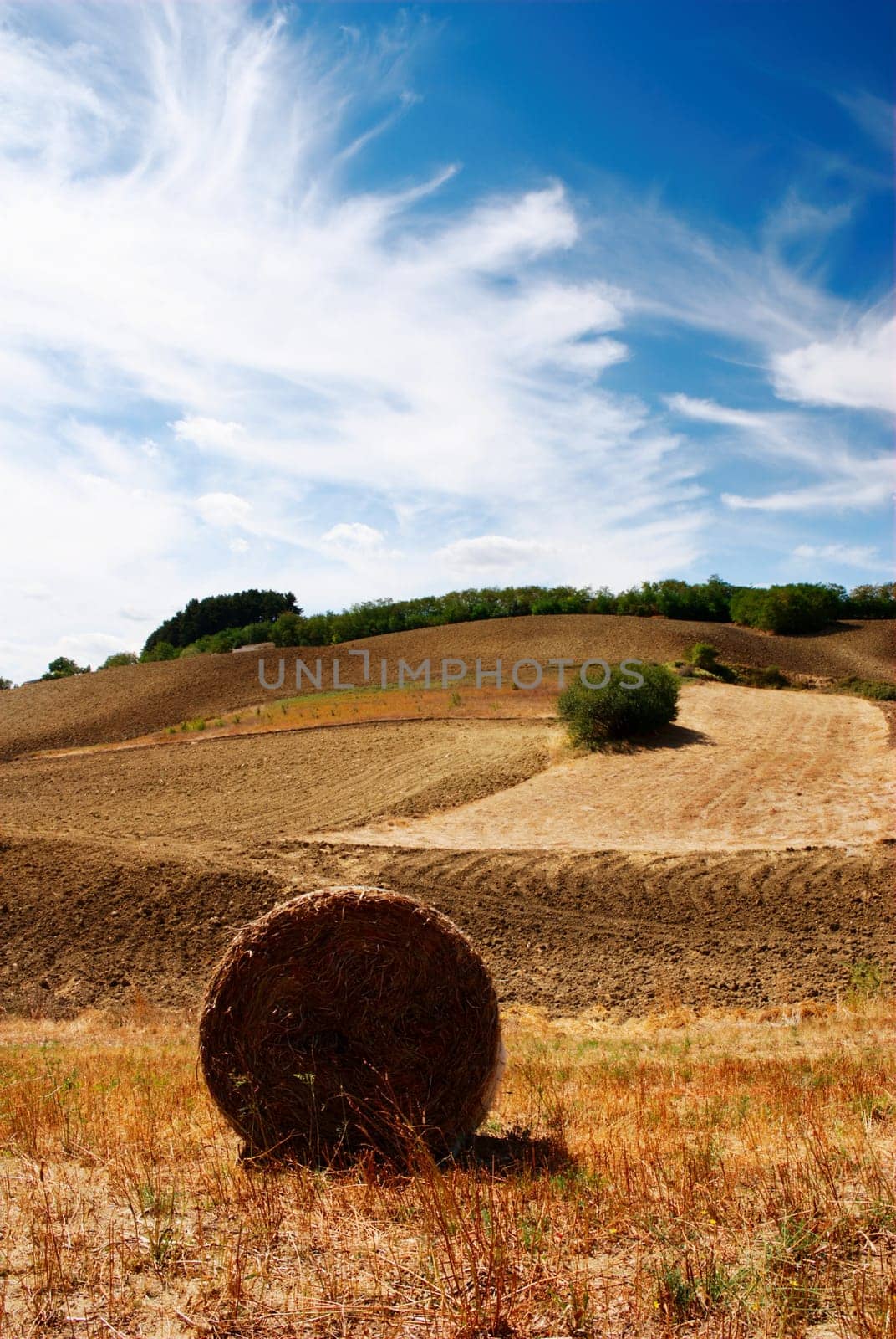 Hay bale in a golden dry field with interesting blue sky