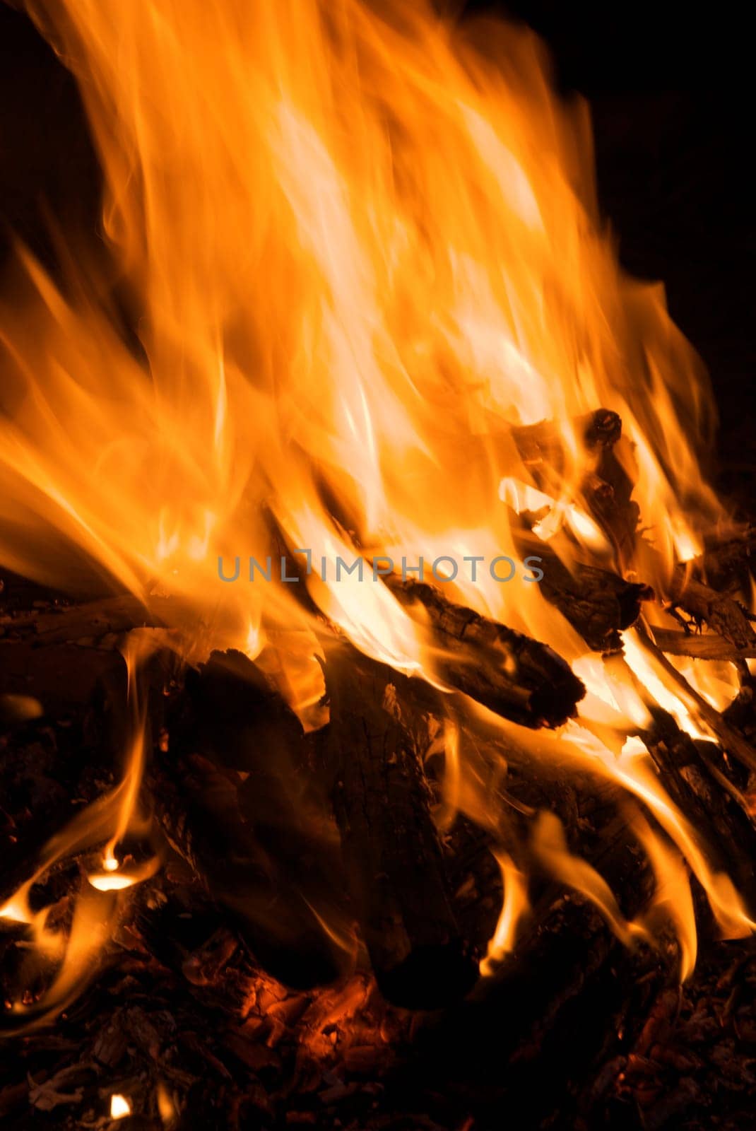 Closeup shot of campfire using Juniper wood