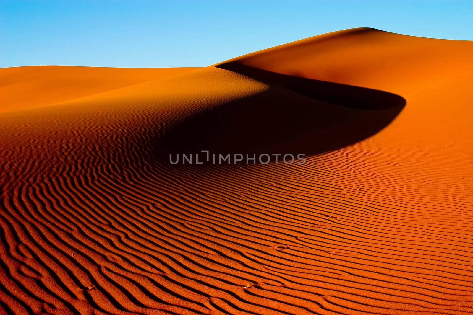 Golden sand dune in the evening light with blue sky and shadow