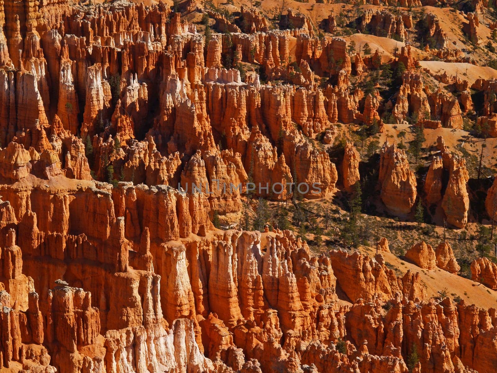 The Bryce Canyon National Park, Utah, USA