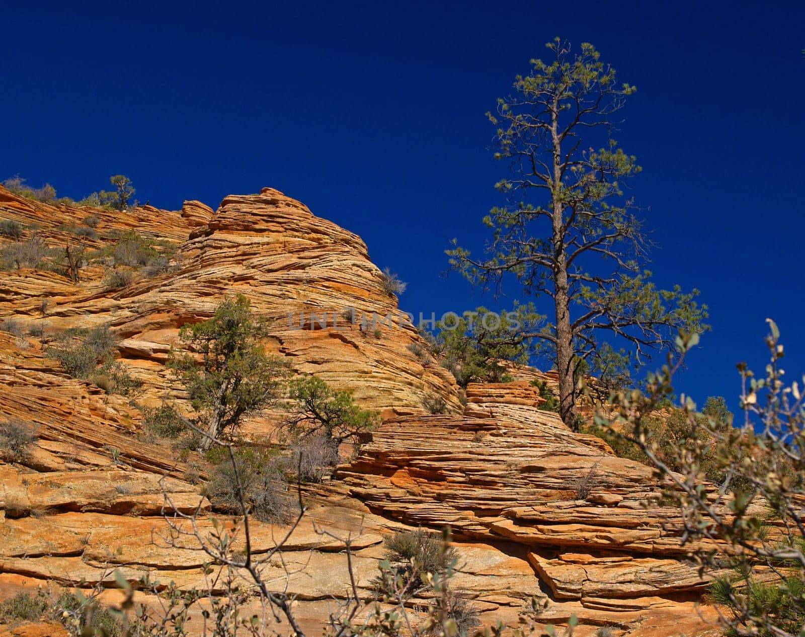 Mountains in Zion national park in Utah