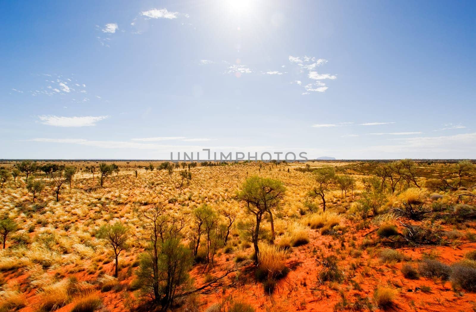 Central Australian Landscape with Uluru in the distance