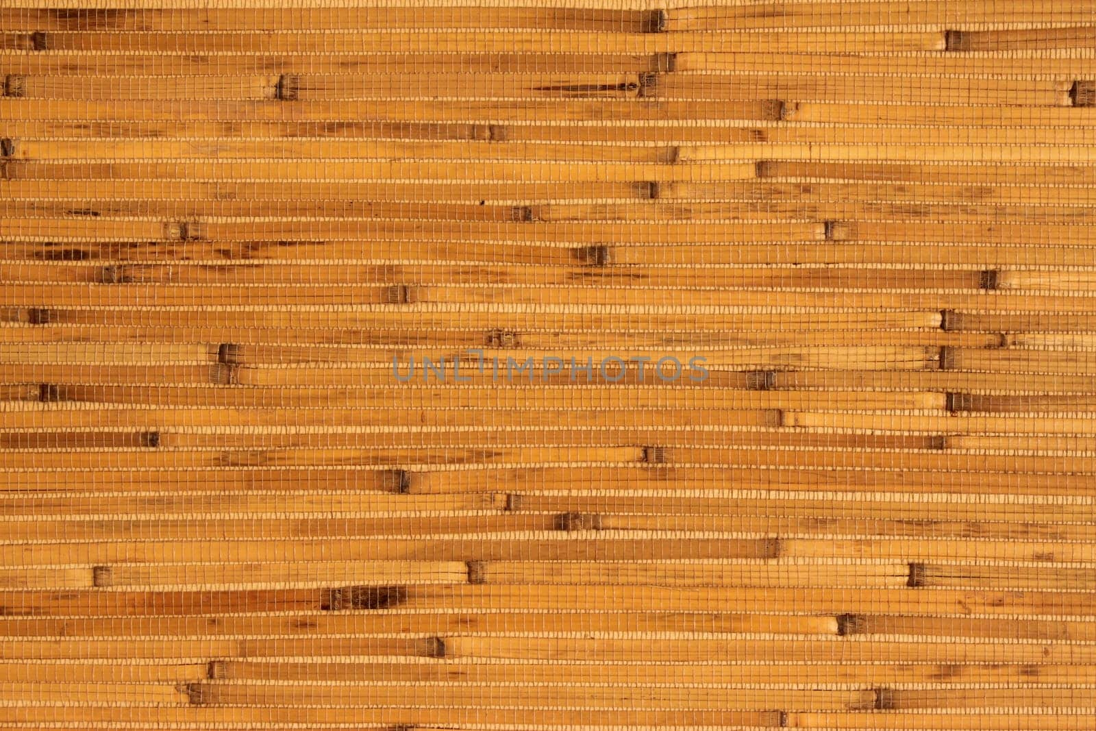Bamboo wallpaper in detail macro photo