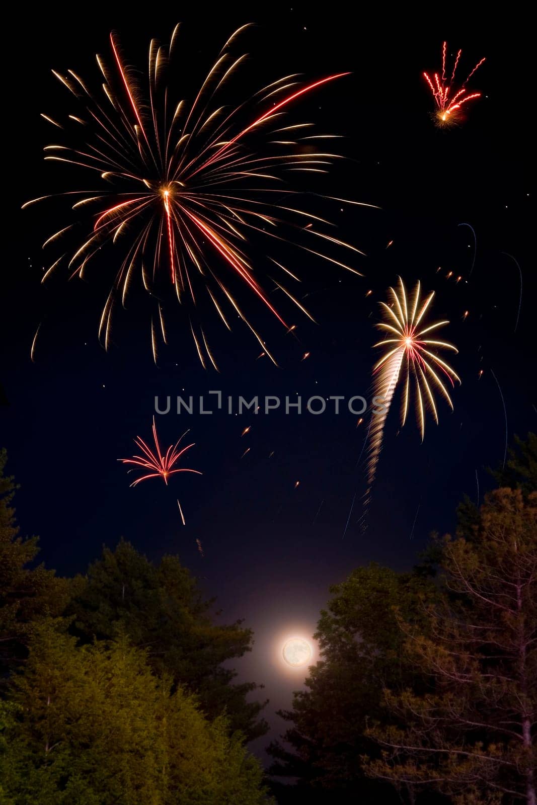 Multiple fireworks exploding above the moon and trees