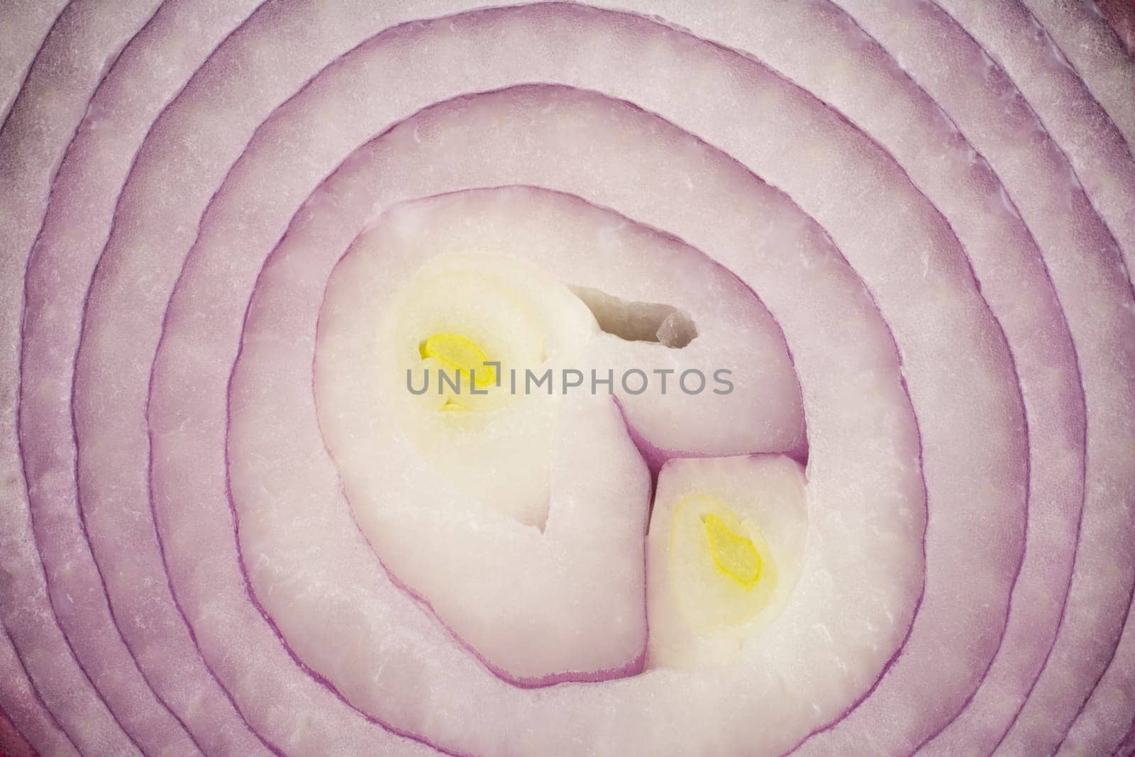 Piece of an onions as a background