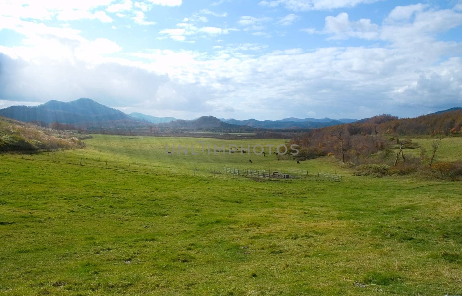 Autumn landscape in japan,hachimantay mountain