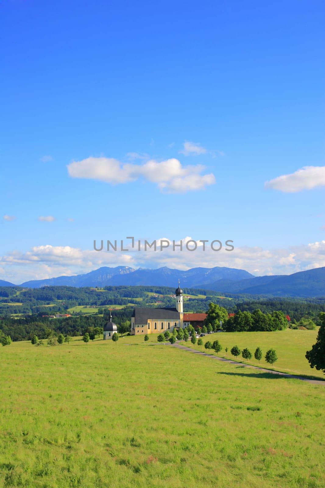 beautiful summer landscape