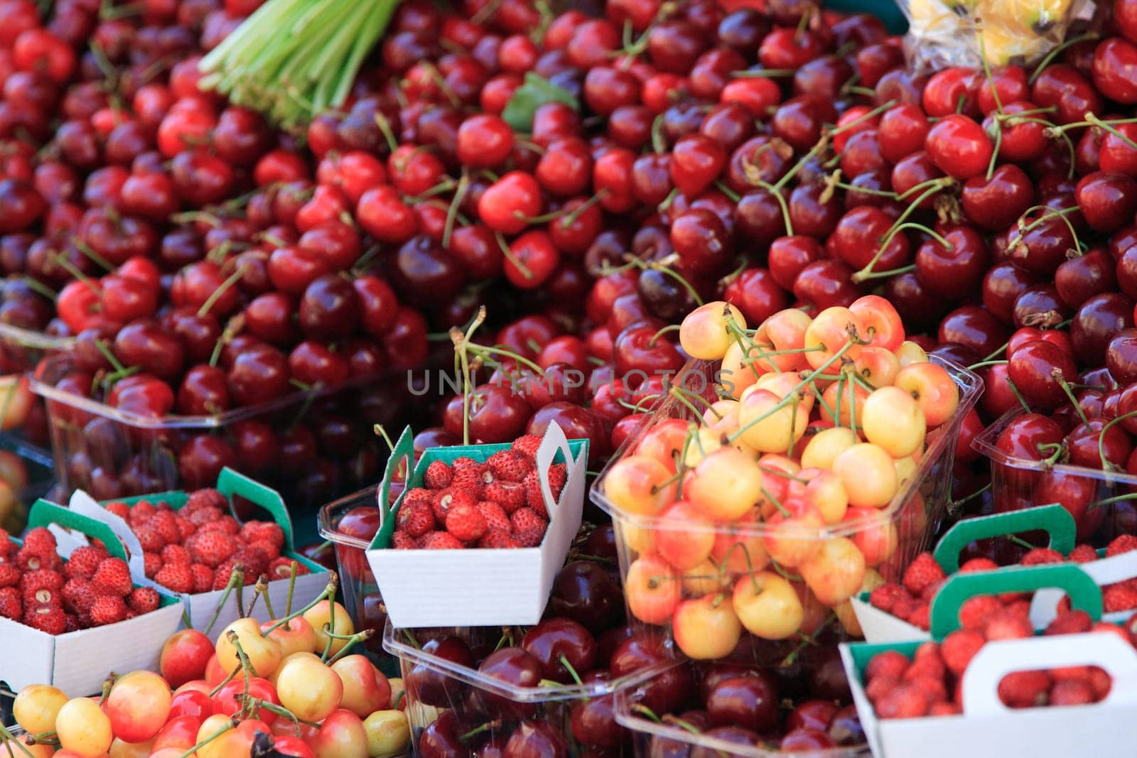 Fresh fruits on a market place