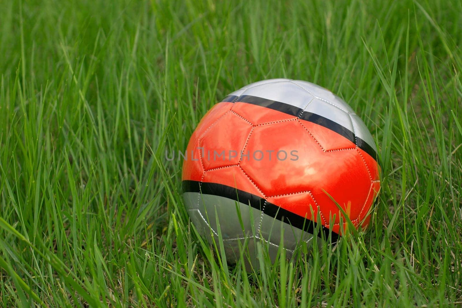 Soccer ball in the grass