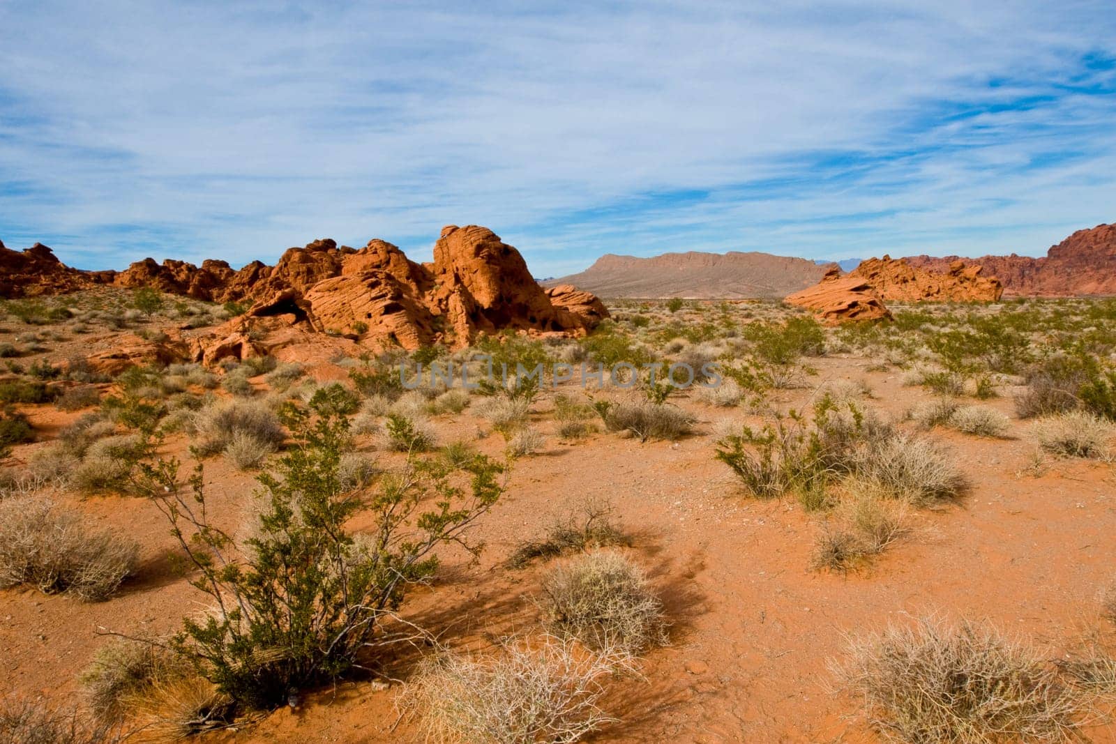 Sandtones landscape in Valley Of Fire State Park