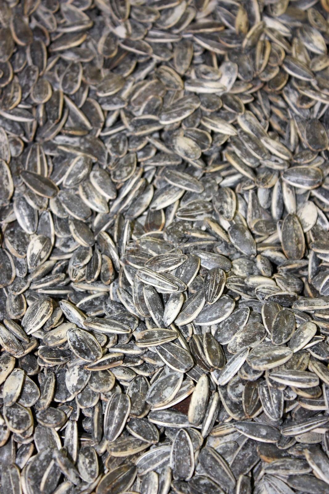 Close-up of pile of sunflower seeds