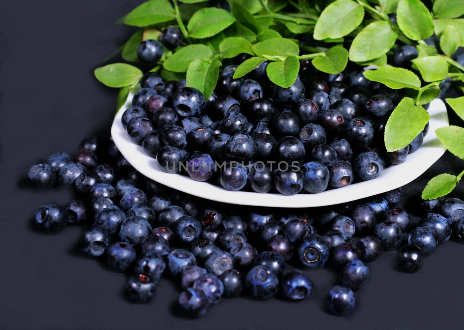 beautiful blue bilberries