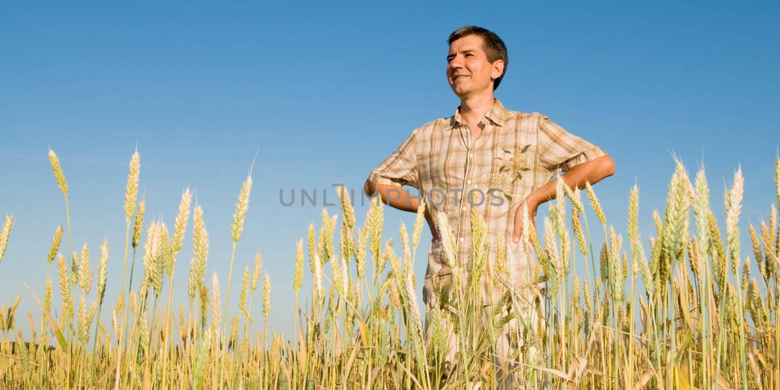 a man is looking at the harvest