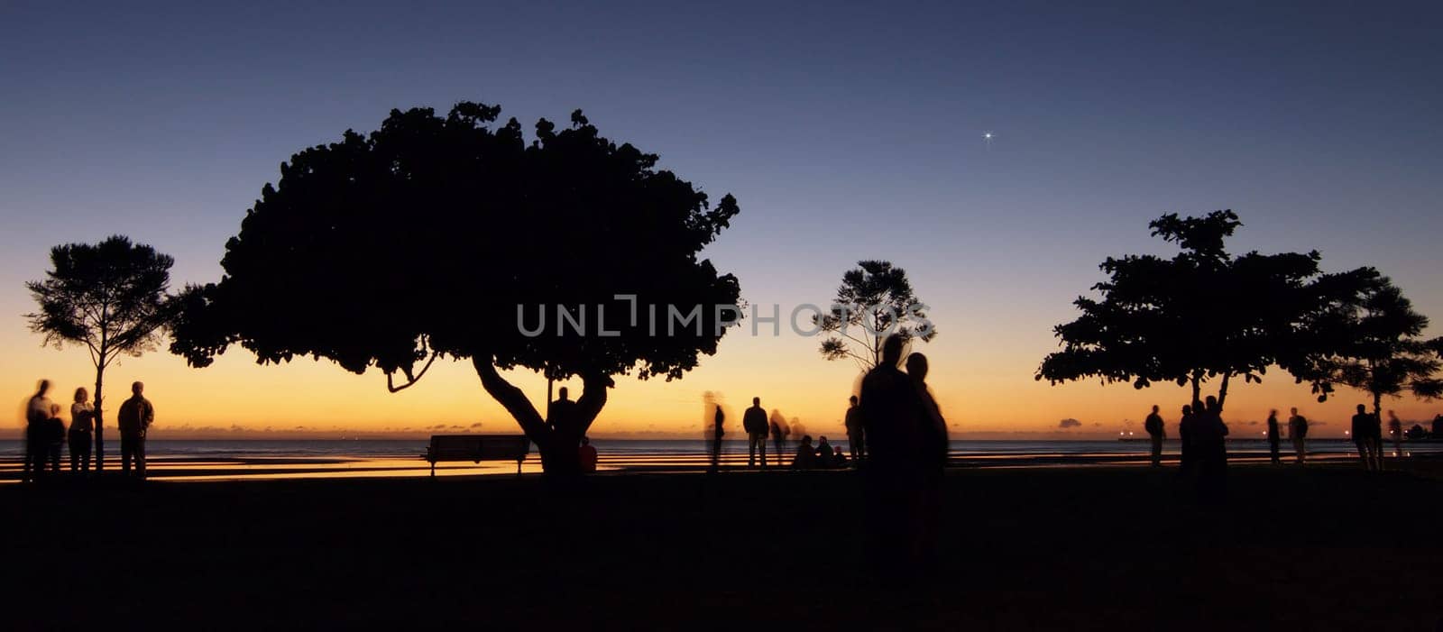 Dark silhouettes waiting in the fading light of day