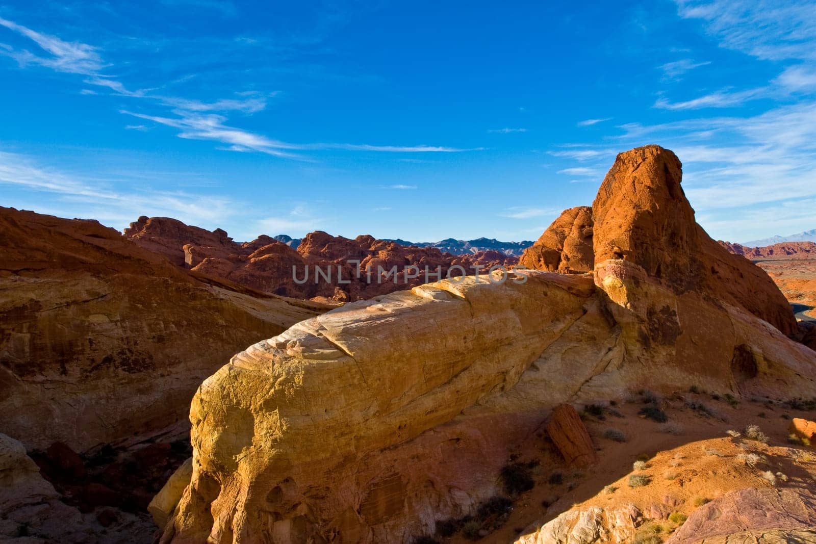 Landscape of White Domes at sunset  in Valley Of Fire State Park
