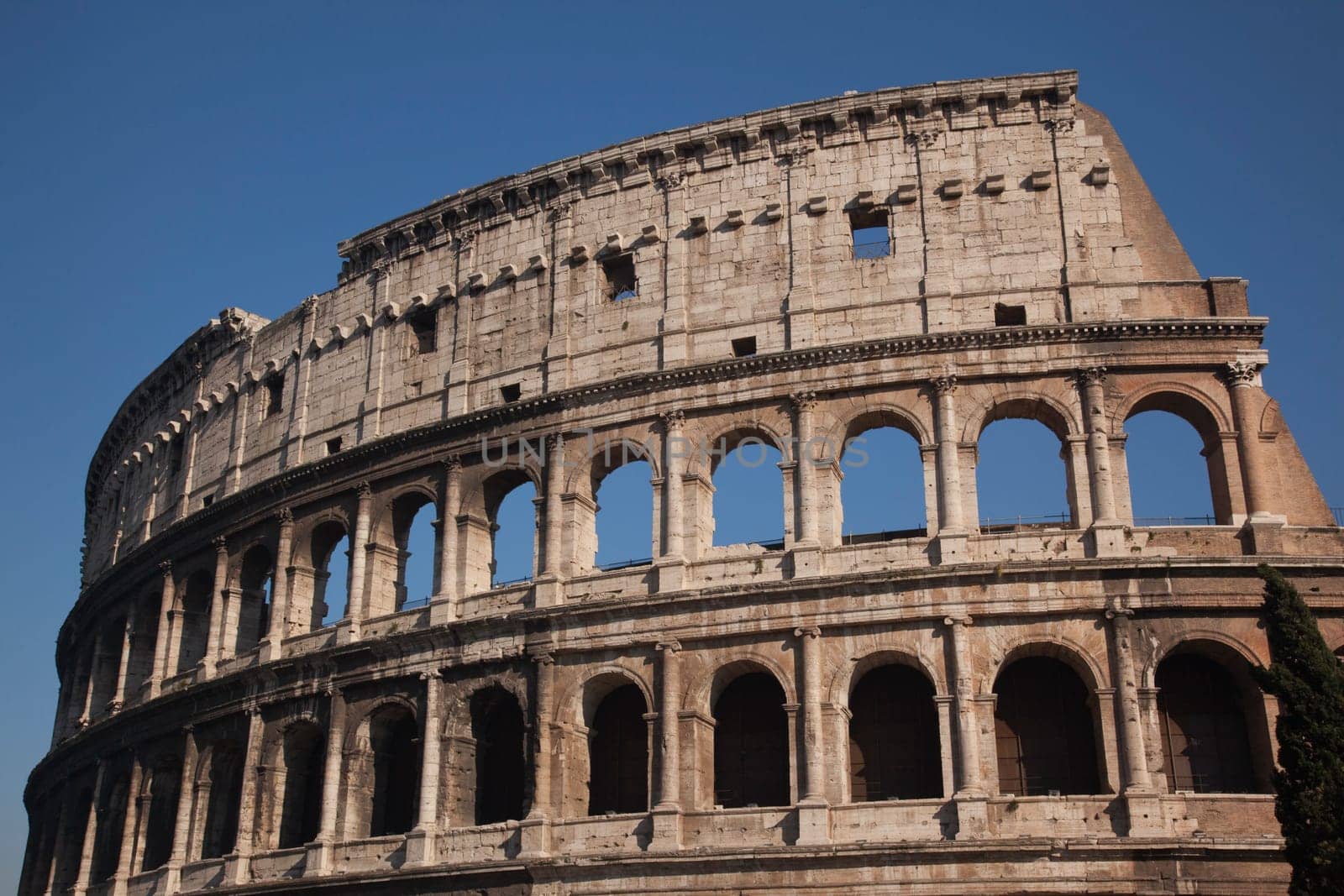Details Colosseum Rome Italy Built by Vespacian