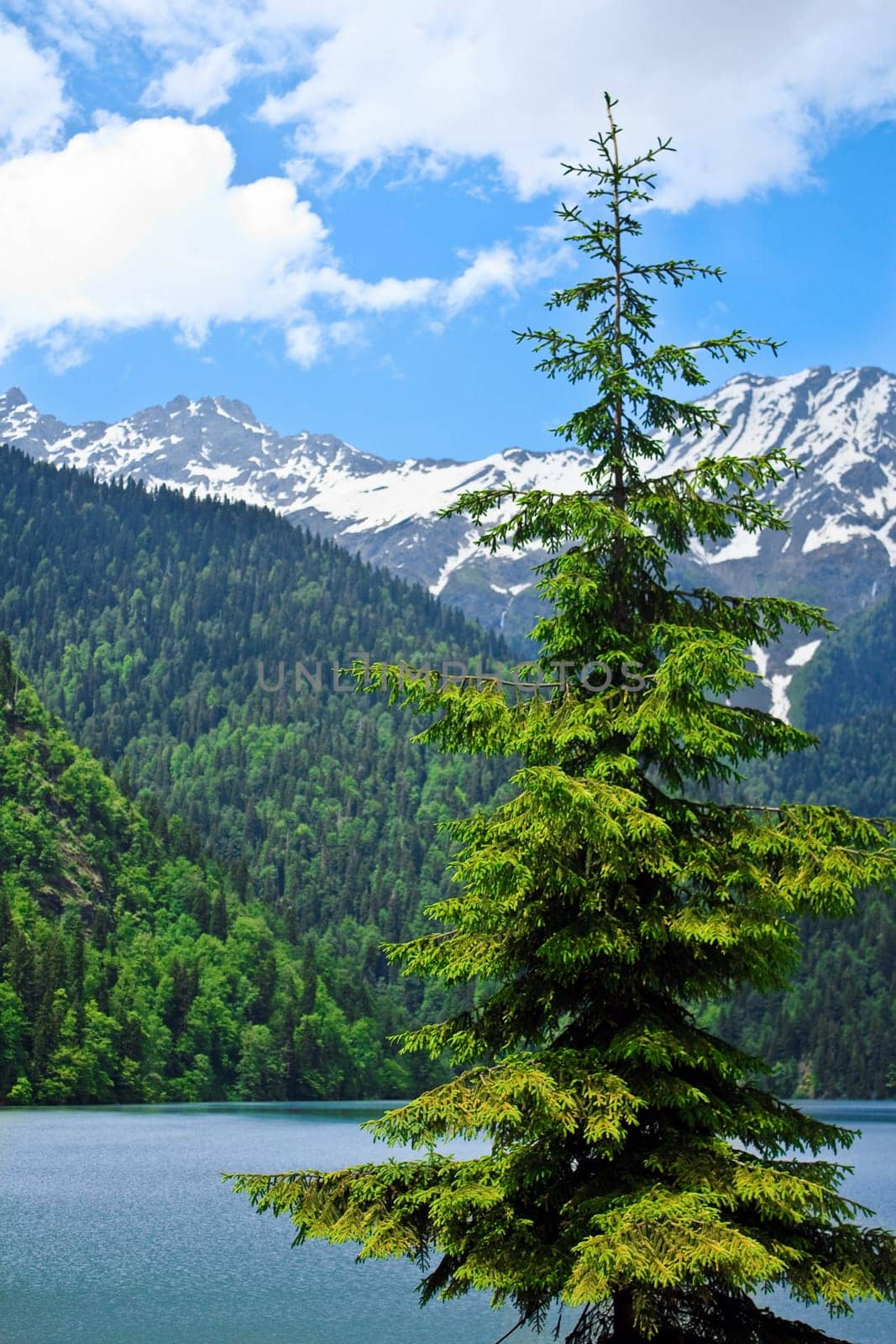 snowy mountains lake landscape with cloudy sky and tree in foreground