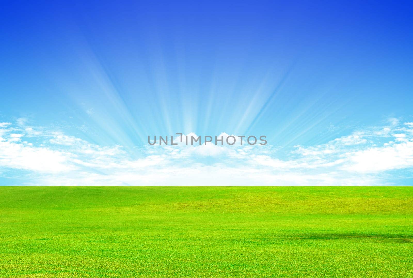Beautiful futuristic landscape with grass and clouds