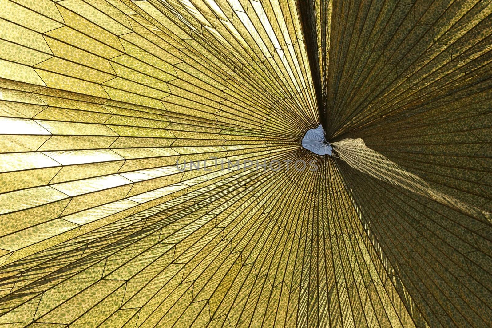 Military Parachute From Underneath Creating a Stunning Glass Like Pattern