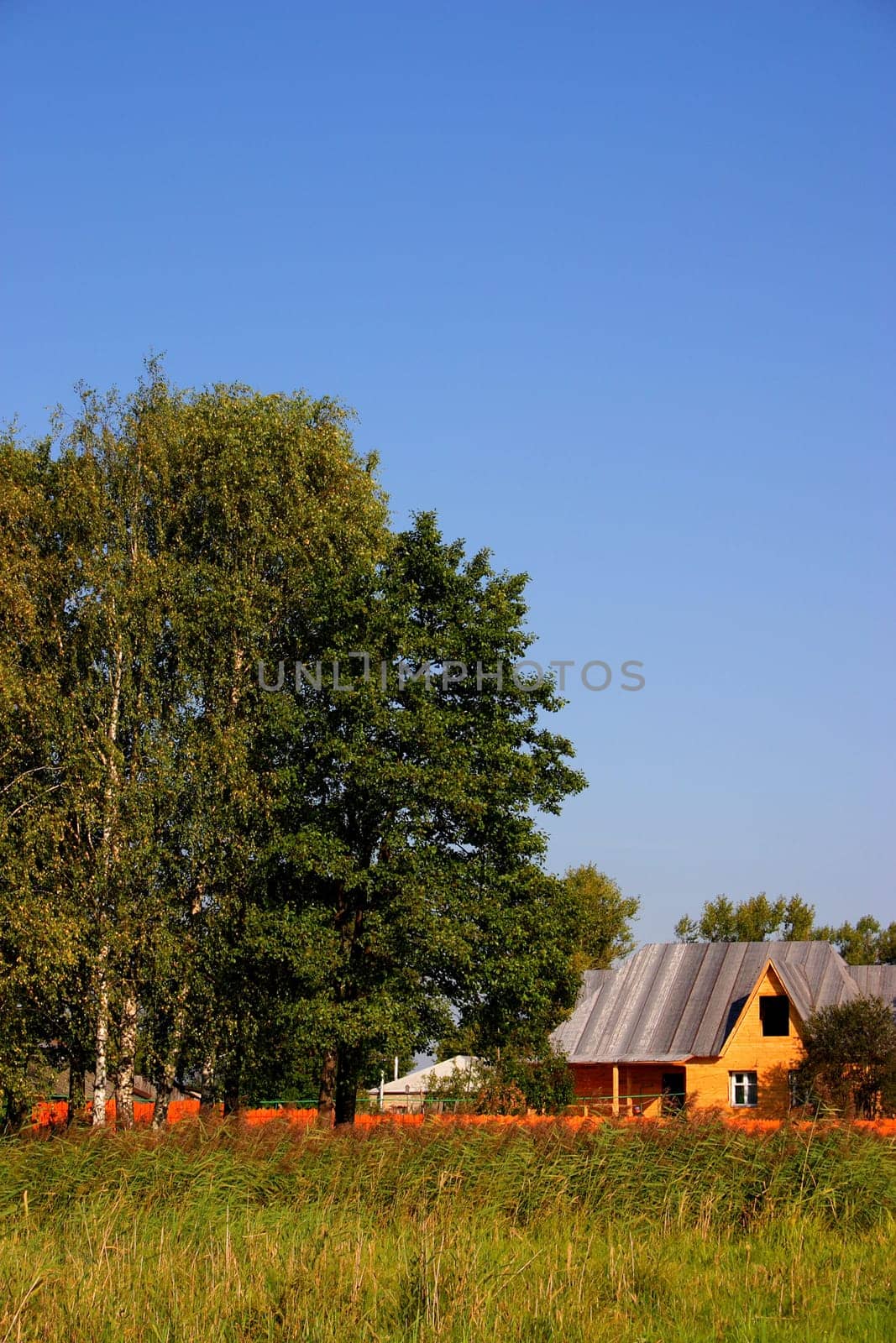 The house at summer