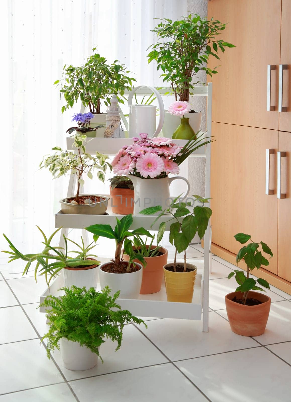 Shelf for flowers in white