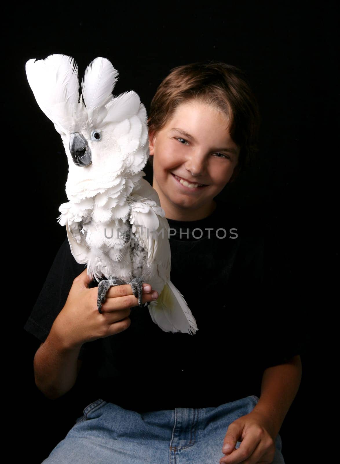 Young Child Holding His Pet Umbrella Cockatoo