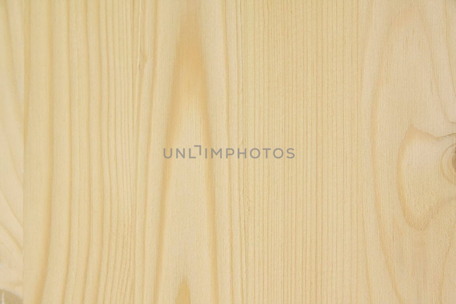 Fragment of natural wood door. Close up