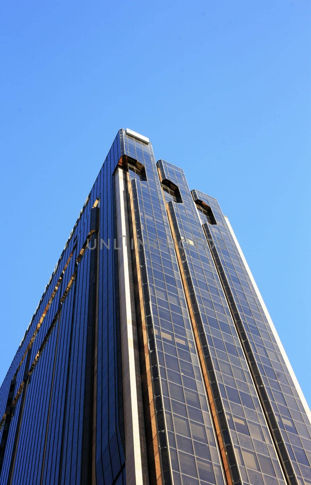 Tall Buildings on a sky - Aukland. New Zealand