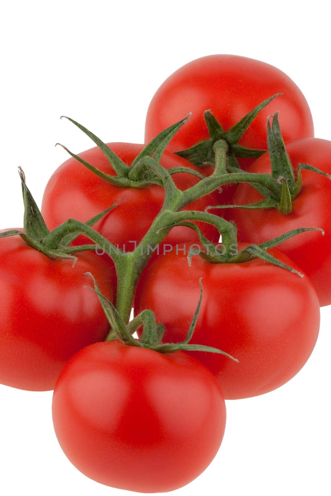 tomatoes, isolated on white background