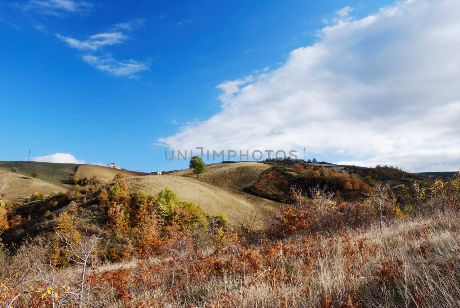 Dry grass and fall colors on hillside in center Italy