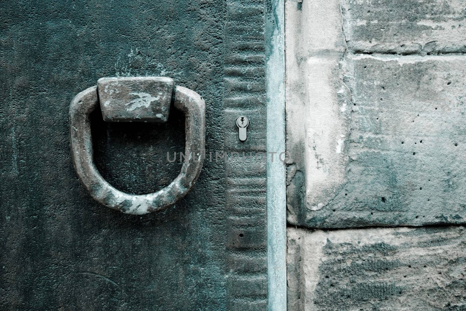 Old Metal Doors, with ironworks, at Speyer, Germany
