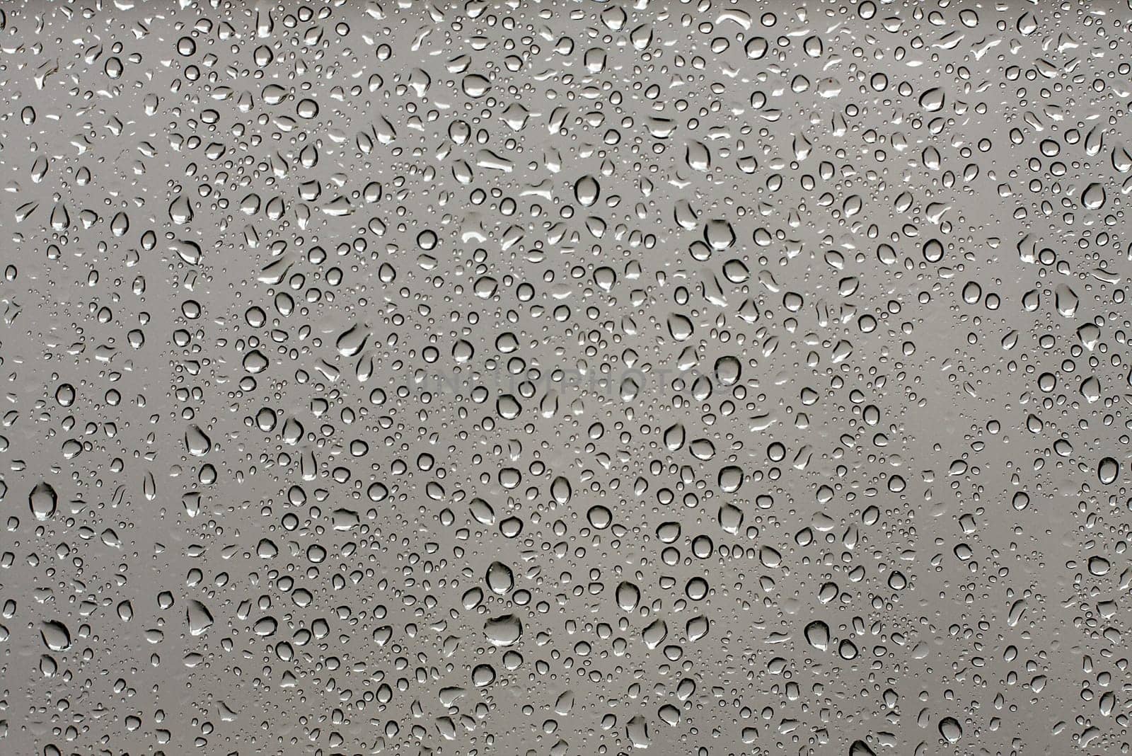 Many small raindrops on a transparent surface